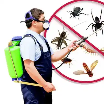 pest control Great River
